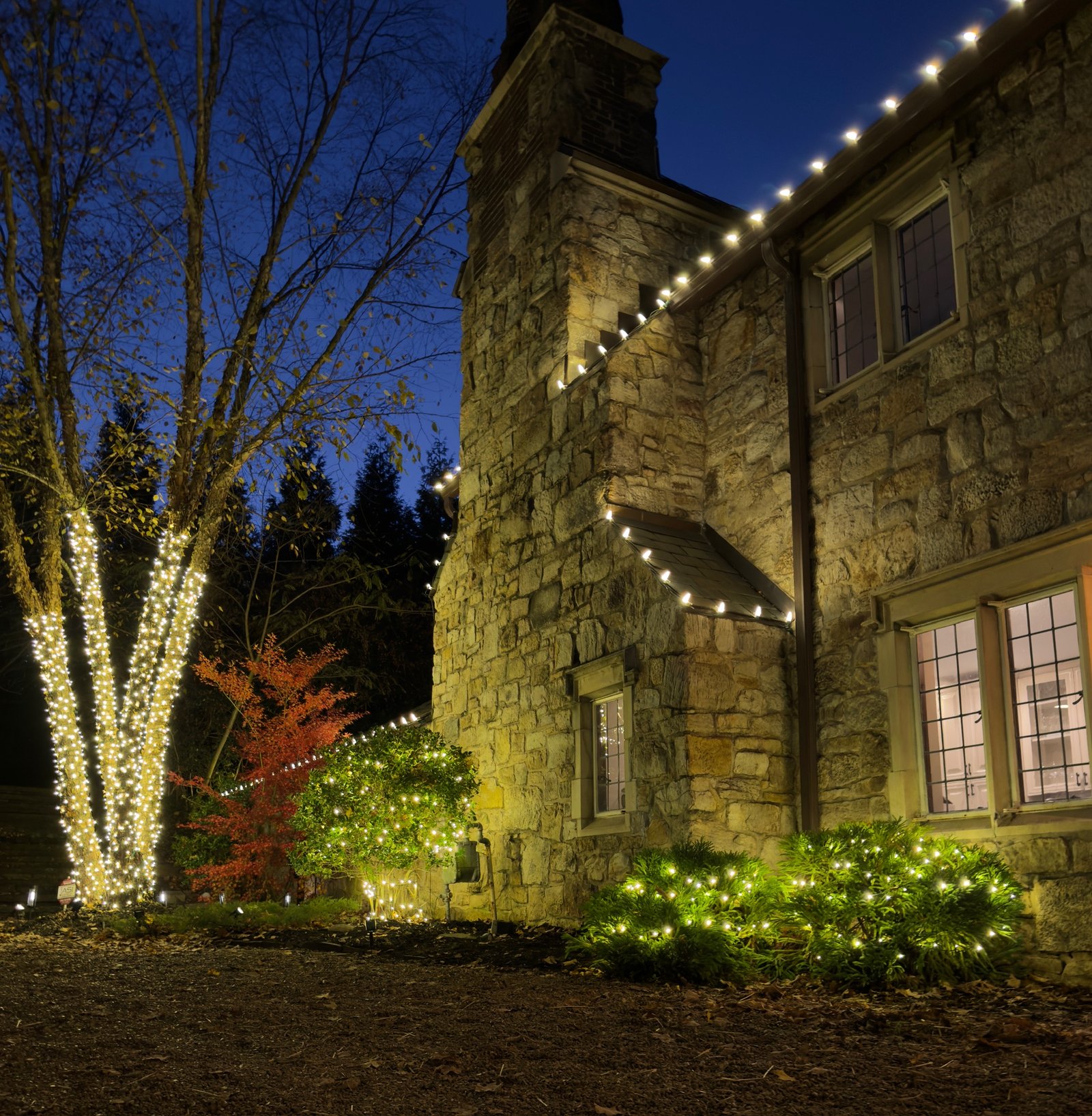 Stone home with wrapped trees and lit landscaping at dusk
